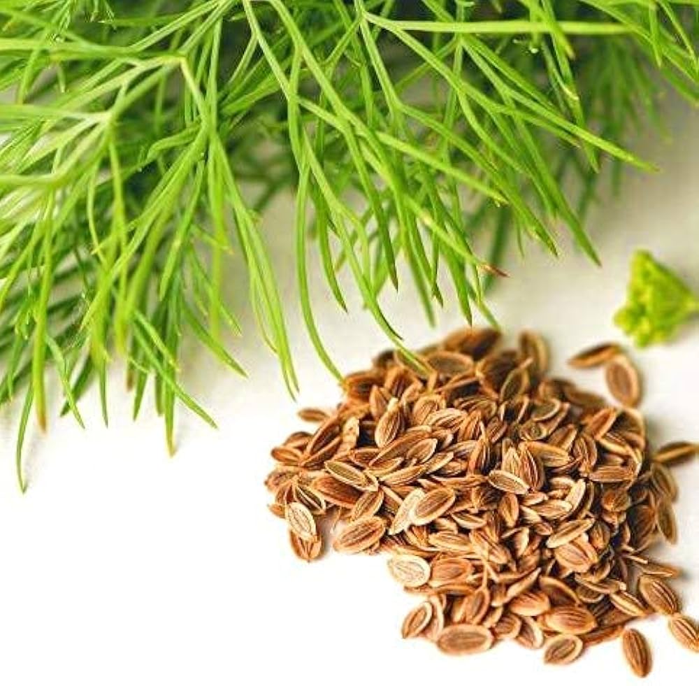 Herb Seeds